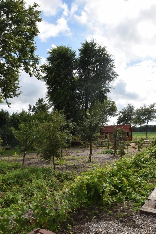 Hoeve Delshorst Heibloem Eksteriør bilde