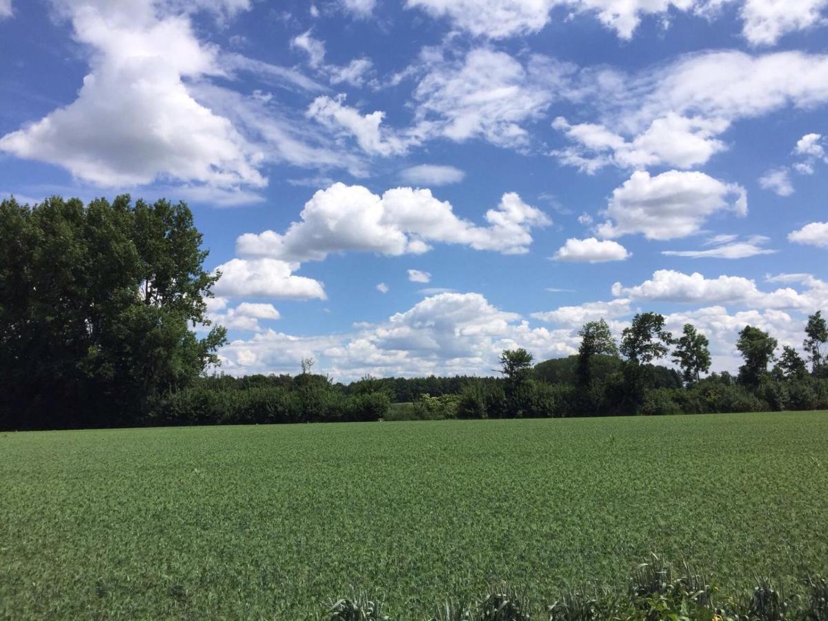 Hoeve Delshorst Heibloem Eksteriør bilde