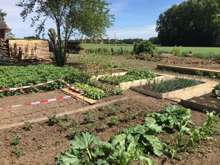 Hoeve Delshorst Heibloem Eksteriør bilde